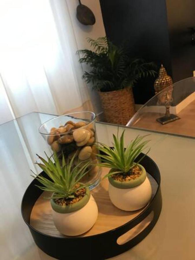 Nuevo Apartamento En Playa De Las Canteras ラスパルマス・デ・グランカナリア エクステリア 写真